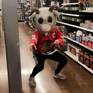 Meet your Posher, Dylan